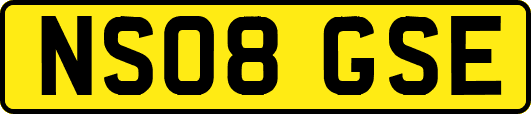 NS08GSE