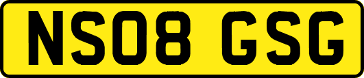 NS08GSG
