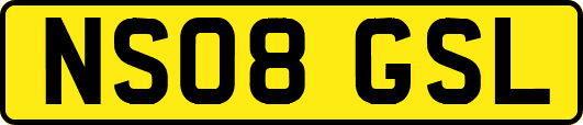 NS08GSL