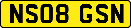 NS08GSN