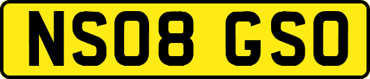 NS08GSO