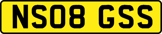 NS08GSS