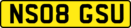 NS08GSU