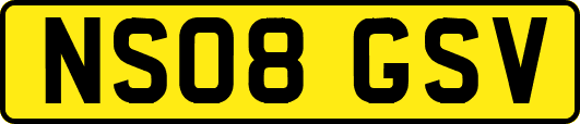 NS08GSV