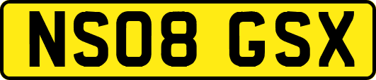 NS08GSX