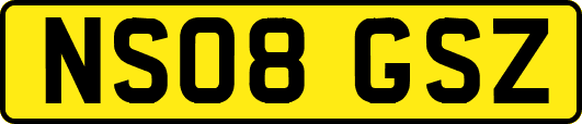 NS08GSZ