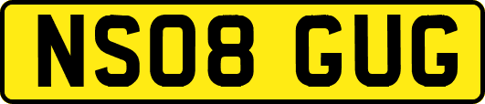 NS08GUG