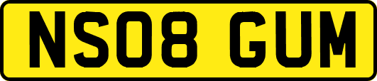 NS08GUM