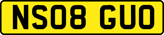 NS08GUO