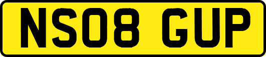 NS08GUP