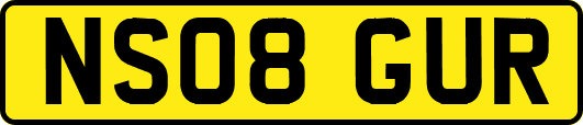 NS08GUR