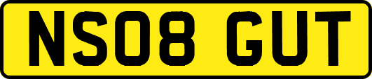 NS08GUT