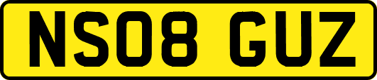 NS08GUZ