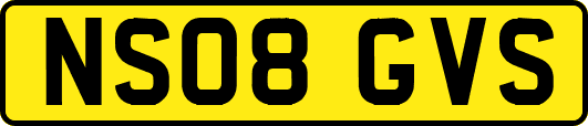 NS08GVS