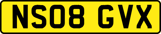 NS08GVX