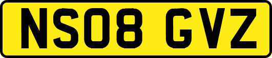 NS08GVZ