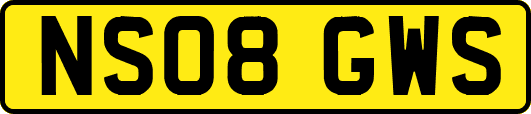 NS08GWS
