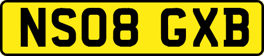 NS08GXB