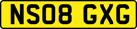 NS08GXG