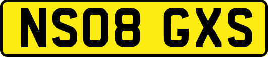 NS08GXS