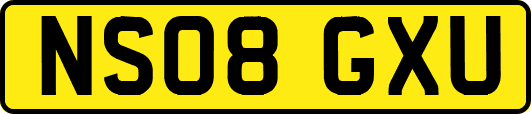 NS08GXU