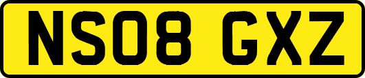 NS08GXZ