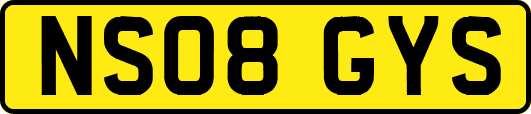 NS08GYS