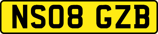 NS08GZB