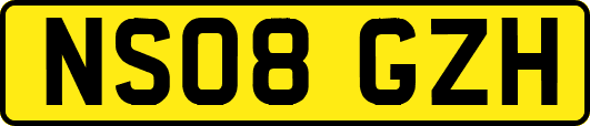 NS08GZH