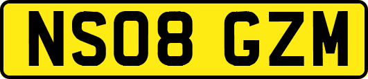 NS08GZM