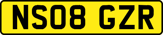 NS08GZR