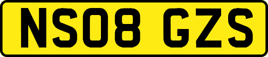 NS08GZS