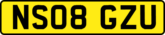 NS08GZU