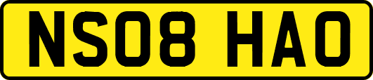 NS08HAO