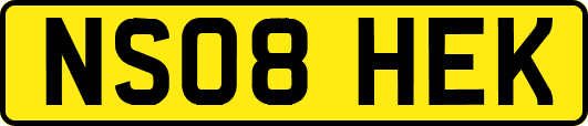 NS08HEK