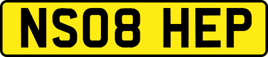 NS08HEP