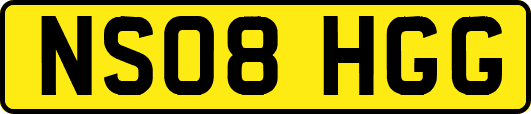 NS08HGG