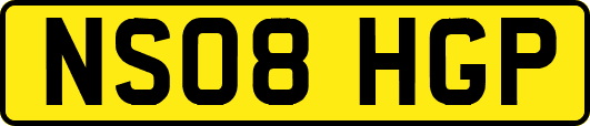 NS08HGP
