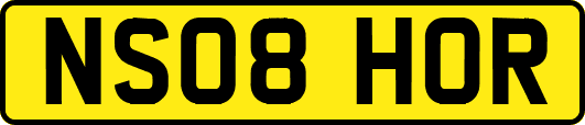NS08HOR