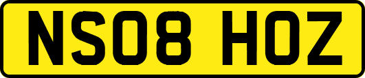 NS08HOZ