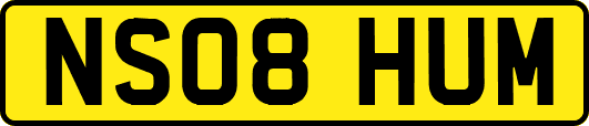 NS08HUM