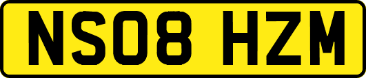 NS08HZM