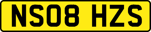 NS08HZS