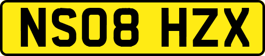 NS08HZX