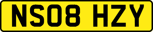 NS08HZY