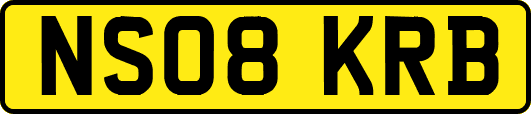 NS08KRB