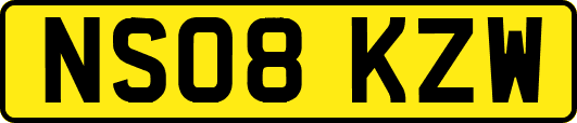 NS08KZW