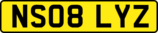 NS08LYZ