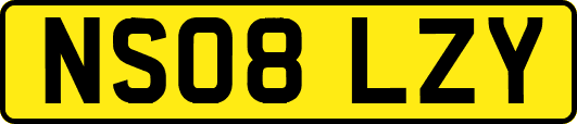 NS08LZY