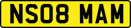 NS08MAM